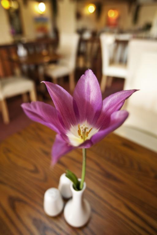 Longfrie Inn Saint Saviour Екстериор снимка